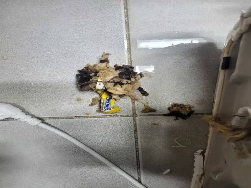 동대문구 배관 이물질 제거 사례